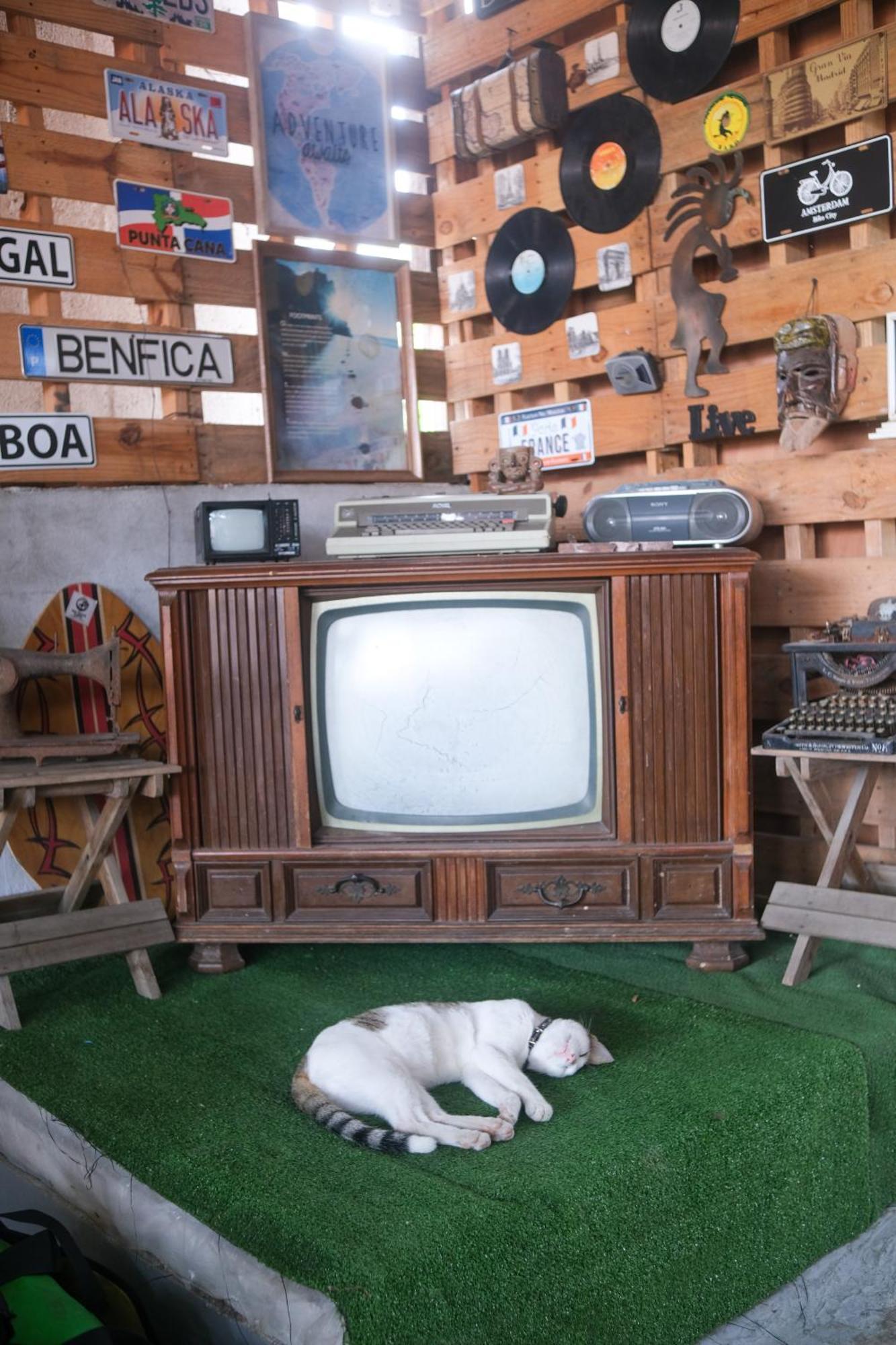 La Terraza Hostel フローレス エクステリア 写真