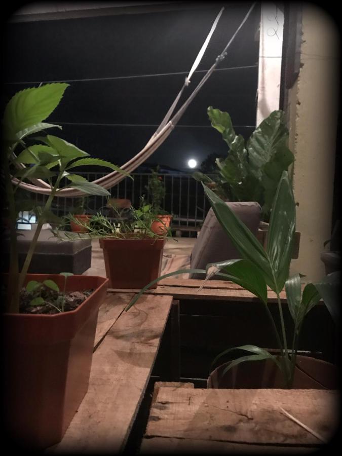 La Terraza Hostel フローレス エクステリア 写真