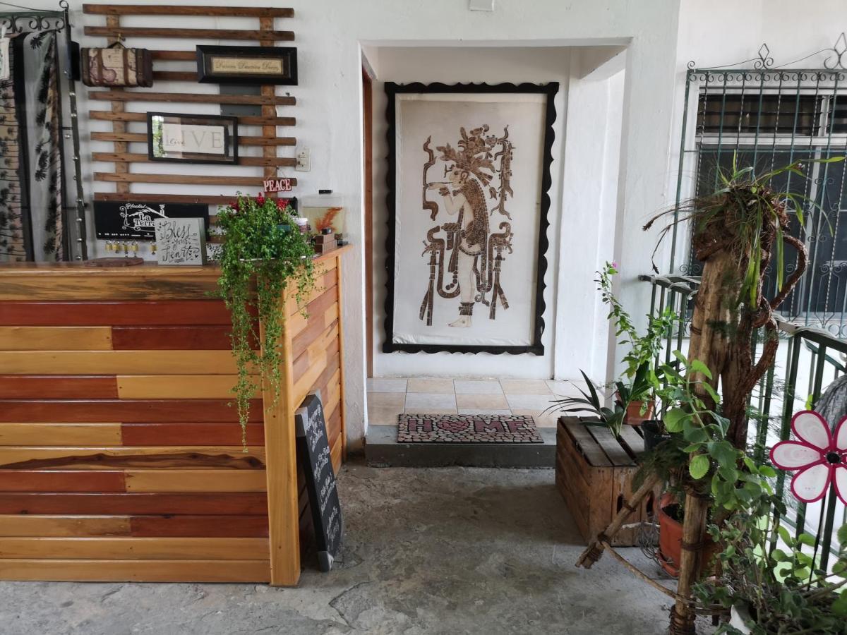 La Terraza Hostel フローレス エクステリア 写真