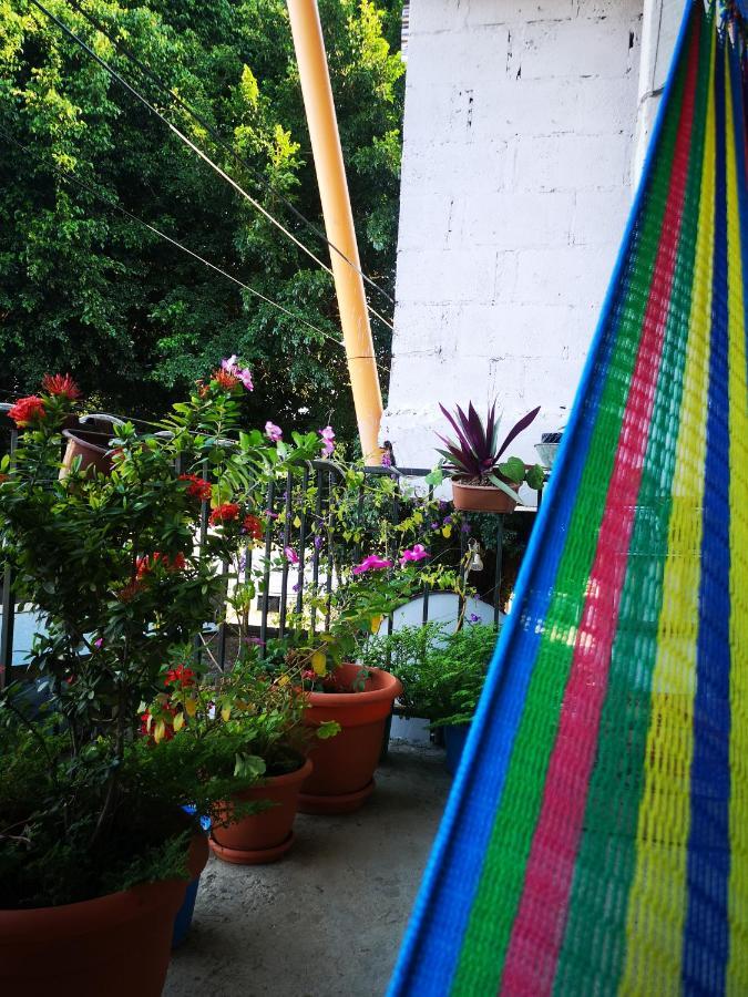 La Terraza Hostel フローレス エクステリア 写真