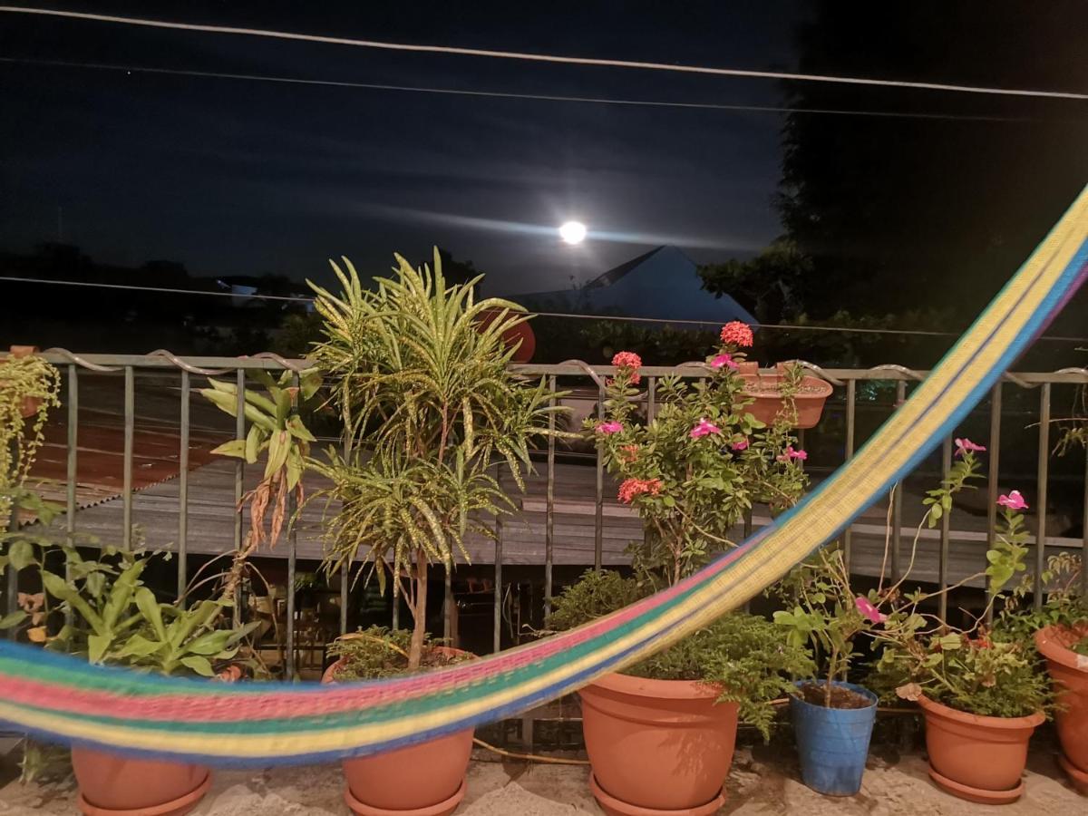 La Terraza Hostel フローレス エクステリア 写真